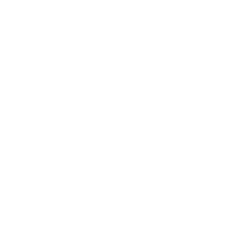 CRSS Securité